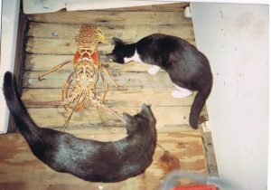 channa and elsie with lobster